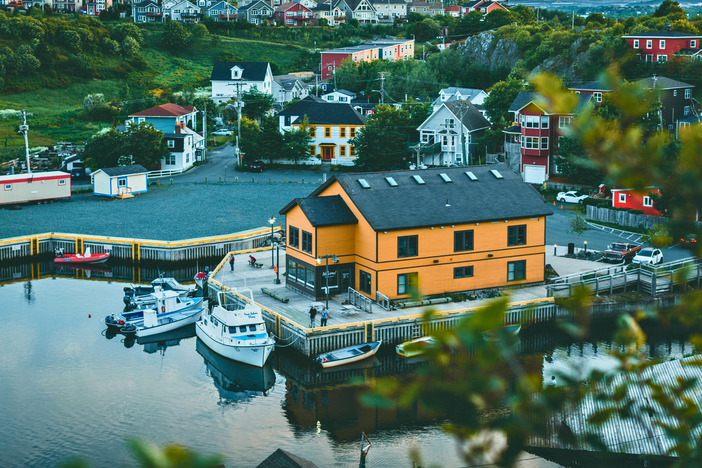 eastern newfoundland, newfoundland and labrador (3).webp